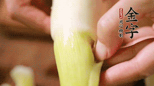 茭白剝?nèi)ネ鈿?，先切片再切絲。