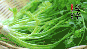 挑選鮮嫩的香菜，洗干凈后，處理成小段。