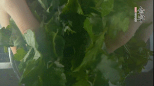 【面皮】1.鍋中水開(kāi)時(shí)，放挑揀好的艾草和一撮小蘇打，第一遍煮開(kāi)后倒掉，重新加水大火煮開(kāi)后，小火煮1小時(shí)。煮爛的艾草用紗布瀝干。