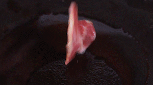 鍋中倒入橄欖油燒熱，放入淡火腿小火煸炒至打卷狀態(tài)。