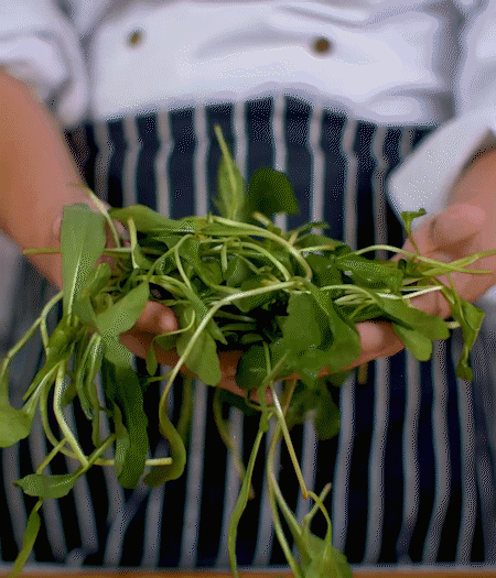 馬蘭頭焯水，切成細(xì)末。