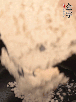 浸泡半天的糯米電飯鍋煮熟。