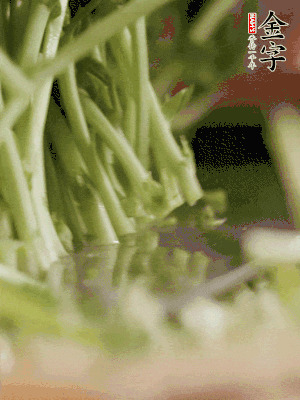 新鮮豌豆苗割下洗凈。