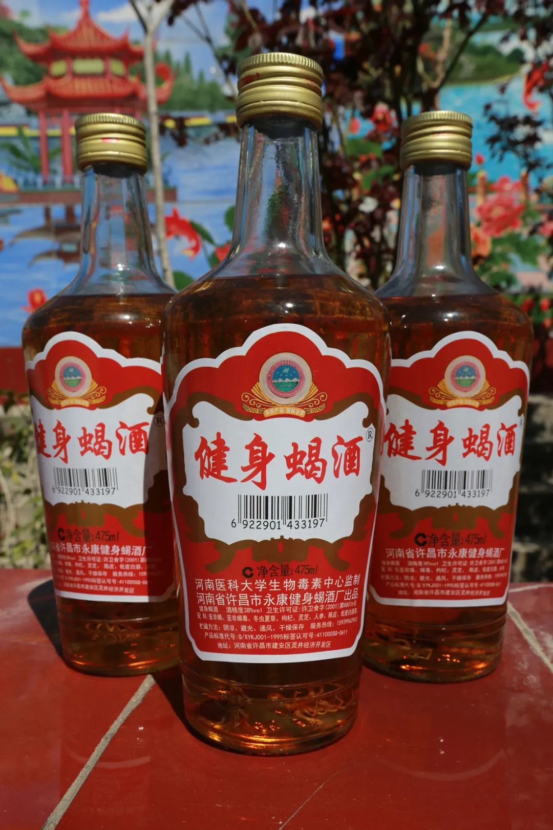 圖片